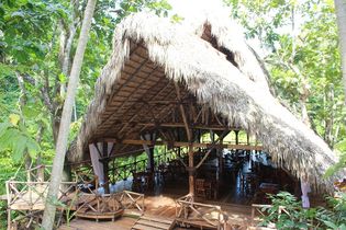 Dominican Tree House Village Restaurant 1